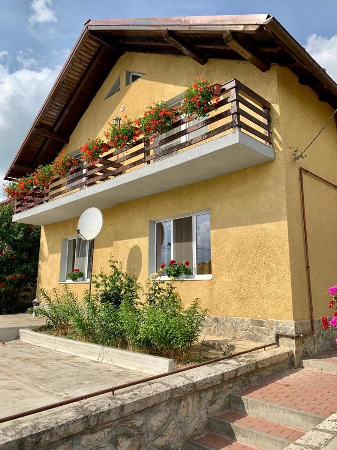 Casa Ramona Apartment Turda Exterior foto