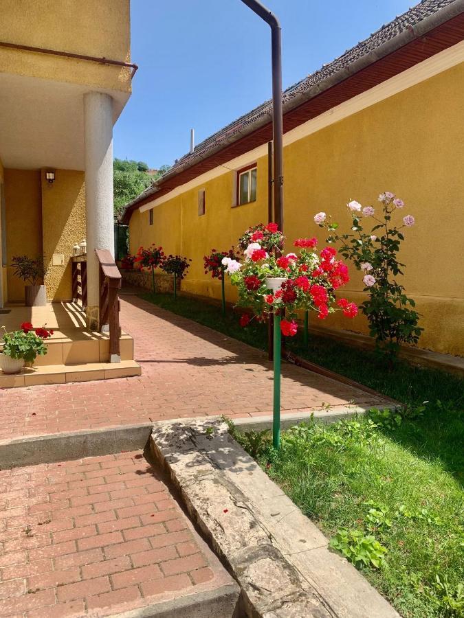 Casa Ramona Apartment Turda Exterior foto